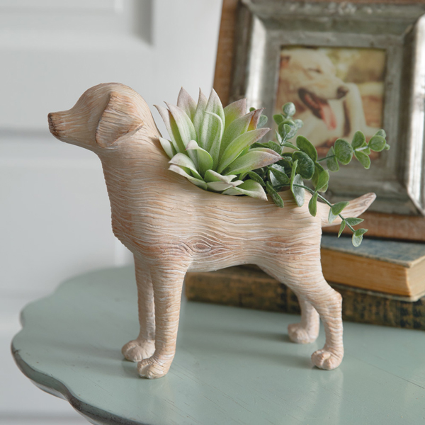 CTW HOME COLLECTION Pet