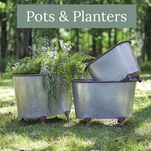 Pots & Planters